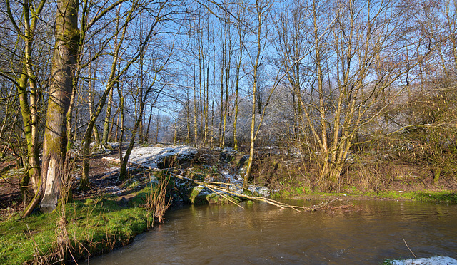 Lees Brook