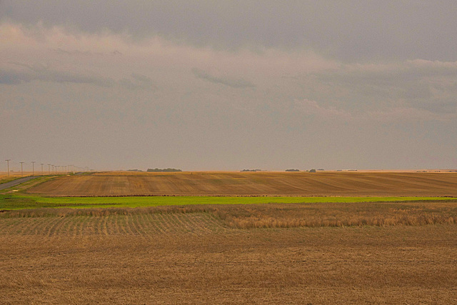 layers after harvest