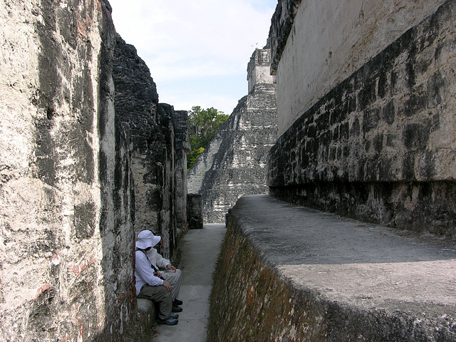 Alleyway Refuge