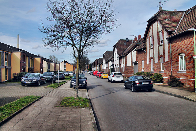 Gewerkenstraße (Essen-Altenessen) / 2.03.2024