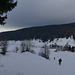 20250112 Raquettes Crêtes de Charande (Vercors) (5)