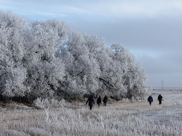 Walking in a winter wonderland