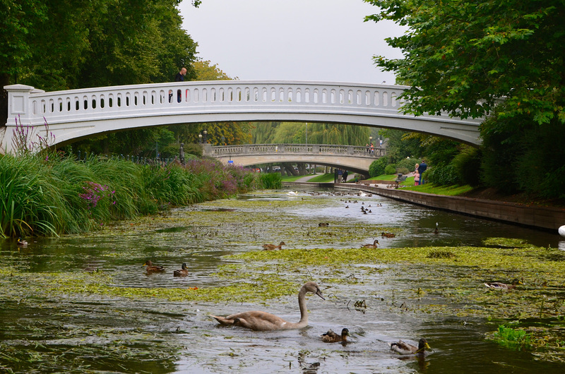 River Sow, Stafford