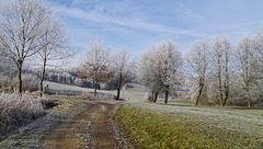 Eisiger Feldweg