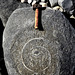Fossil found on Lyme Regis beach