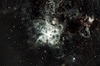 Tarantula nebula NGC2070