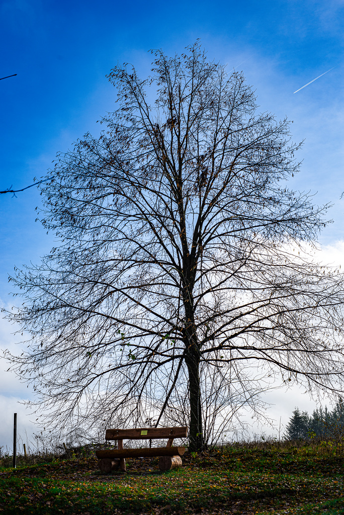 20231118_benneckenstein spaziergang