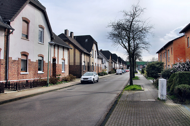 Gewerkenstraße (Essen-Altenessen) / 2.03.2024