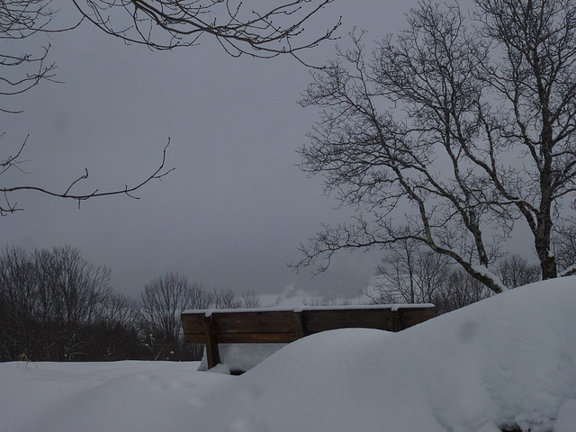 20150131 Raquettes Vercors La Goulandiere (67) al