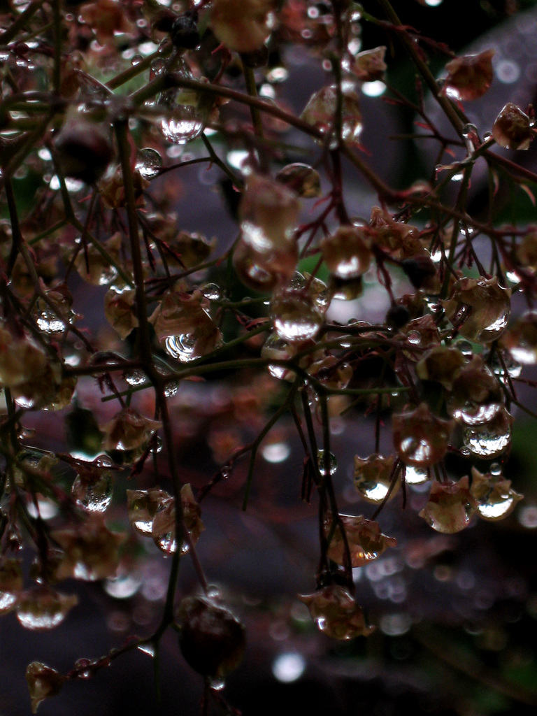 Glitter