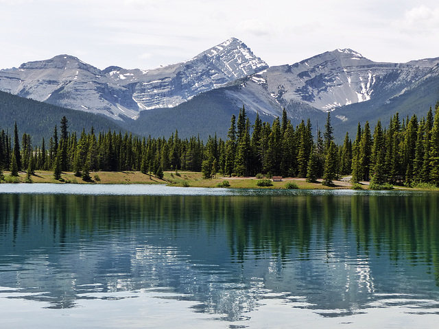 Forgetmenot Pond, Kananaskis