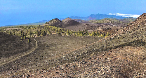 Beautiful Wasteland