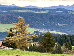Landschaft des Allgäus