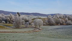 Harzblick