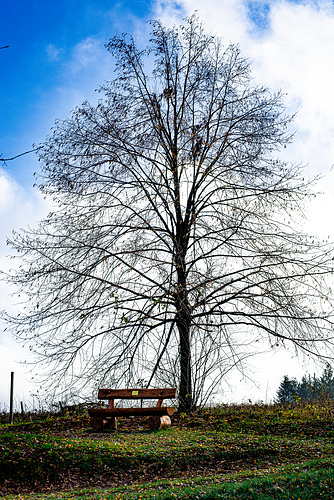 20231118_benneckenstein spaziergang