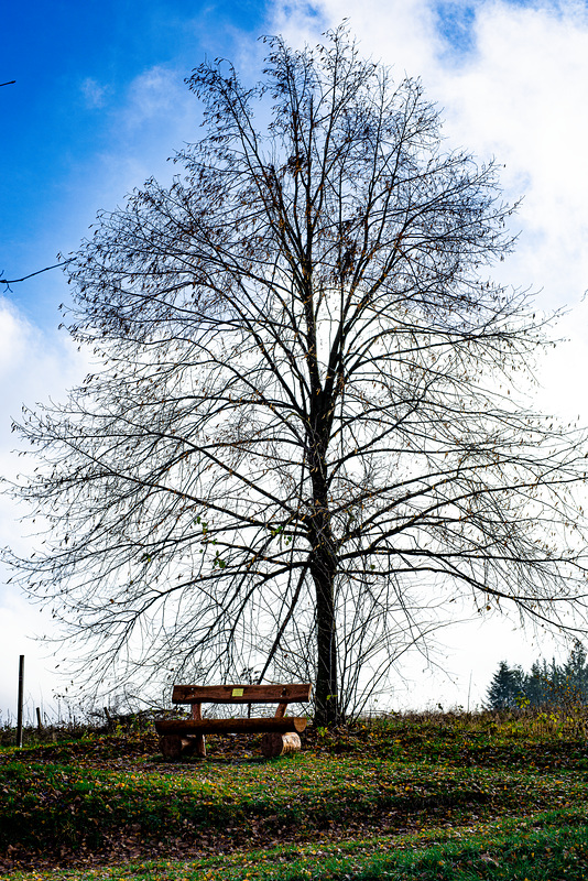 20231118_benneckenstein spaziergang