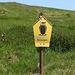 Insel Hiddensee