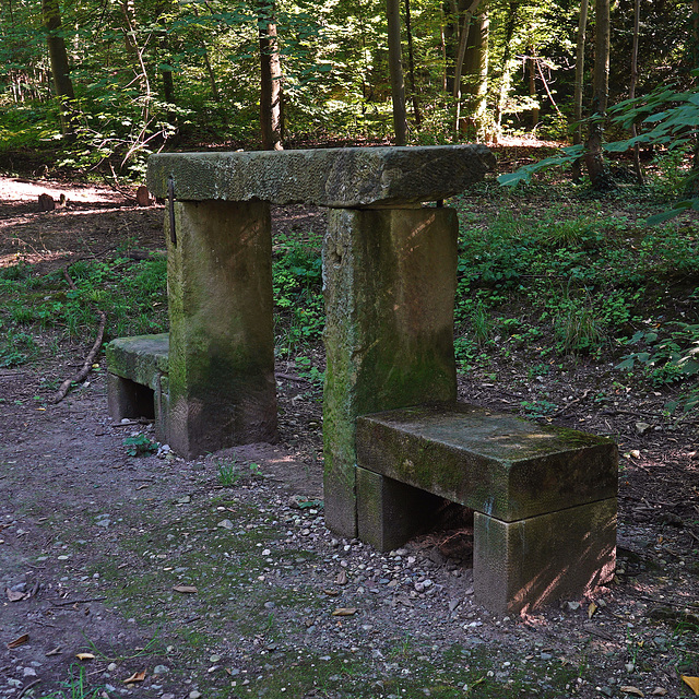 HBM von der Ruhbank im Bopserwald