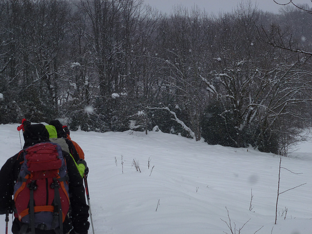 20150131 Raquettes Vercors La Goulandiere (70) al