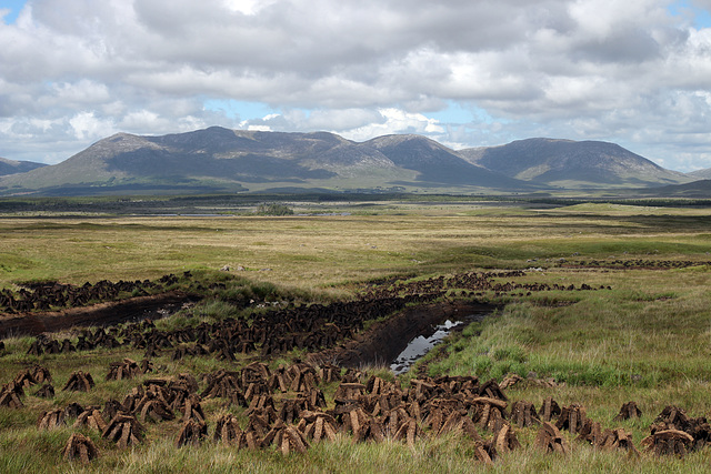 Roundstone Bog