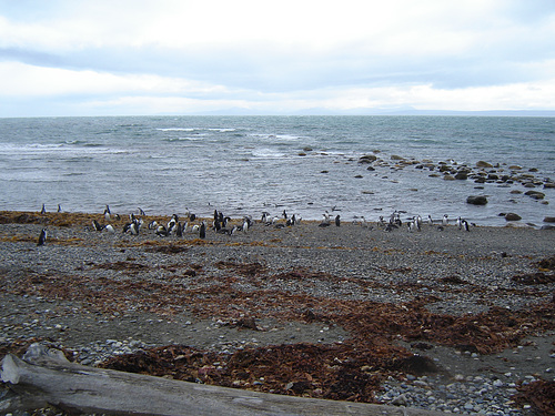 DSC00974