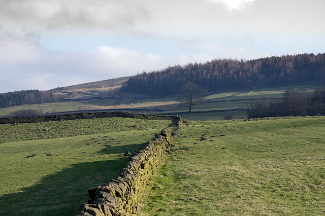 Drystone wall with a hole in it