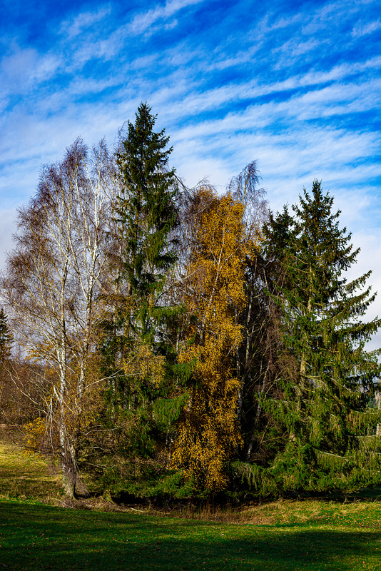 20231118_benneckenstein spaziergang