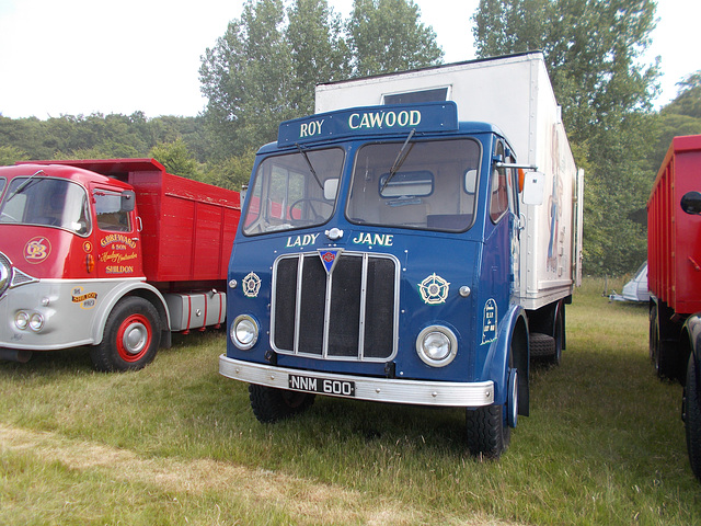 cls[25] - "Lady Jane"