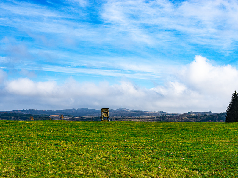 20231118_benneckenstein spaziergang