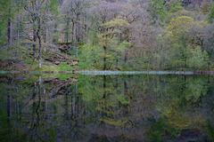 Yew Tree Tarn reflection
