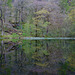 Yew Tree Tarn reflection