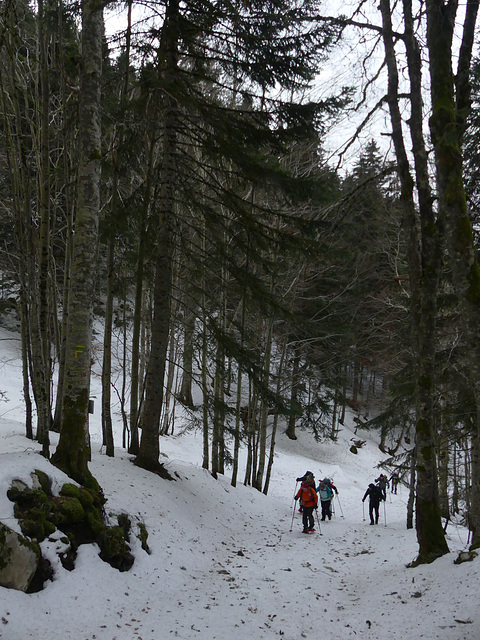 20250112 Raquettes Crêtes de Charande (Vercors) (15)