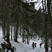 20250112 Raquettes Crêtes de Charande (Vercors) (15)