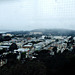 SF from Twin Peaks