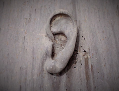 My stone's ear