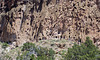 Bandelier National Monument (# 0889)