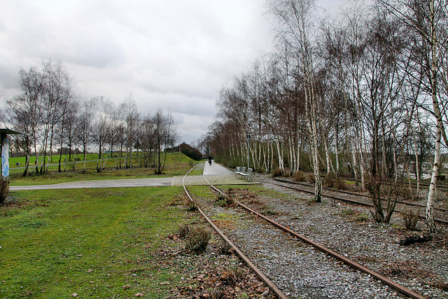 Bahngleise im Westpark (Bochum) / 14.01.2019