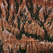 Bryce Canyon Nat Park, Utah