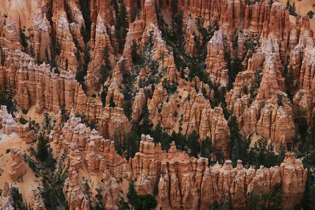 Bryce Canyon Nat Park, Utah