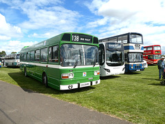 Stonham Barns 'The Big Bus Show' - 13 Aug 2023 (P1150990)