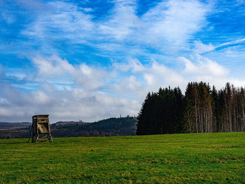 20231118_benneckenstein spaziergang