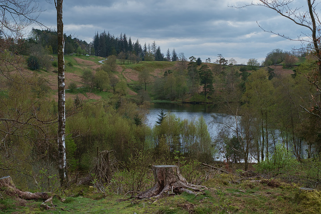 ipernity: Tarn Hows - by Colin Ashcroft