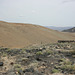 IMG 9579