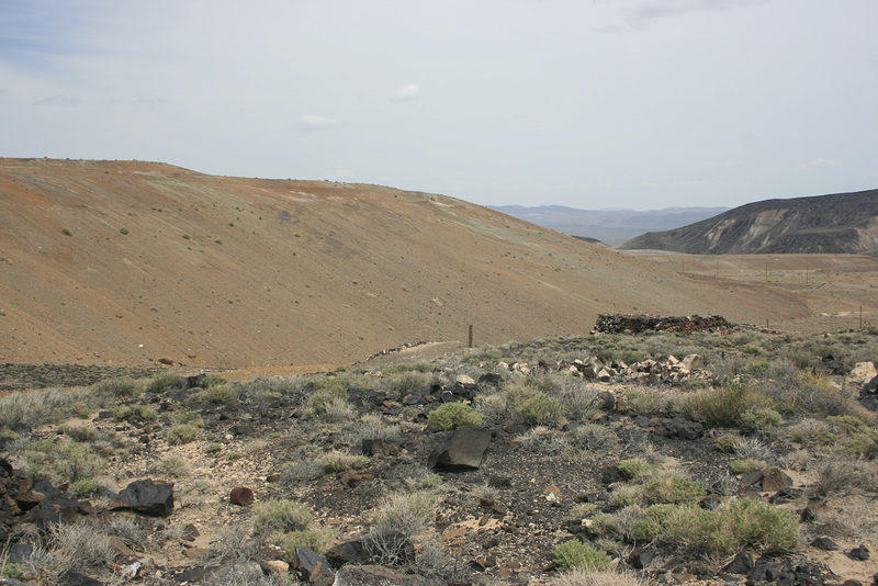 IMG 9579