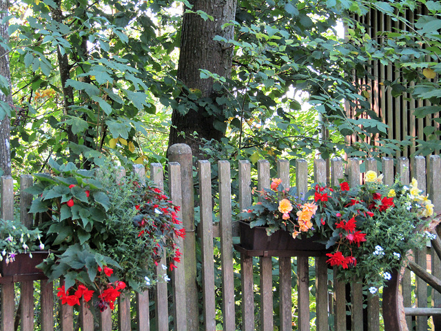 Blumenschmuck am Schlossberg