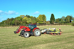 Harvest time