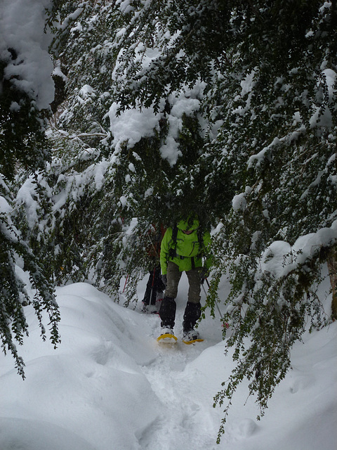 20150131 Raquettes Vercors La Goulandiere (72) al