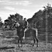 Hopalong Stidex at Jiveass Turkey Ranch, 1964