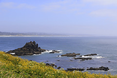 Yaquina Head