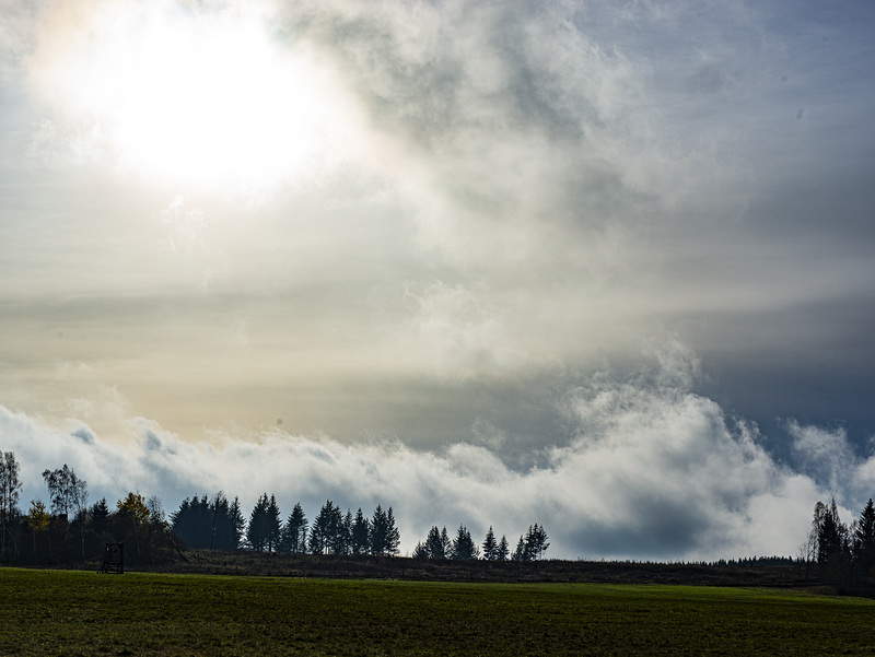 20231118_benneckenstein spaziergang